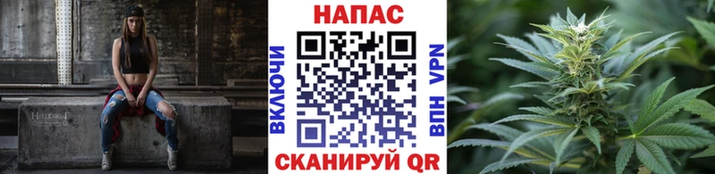 Псилоцибиновые грибы Починок
