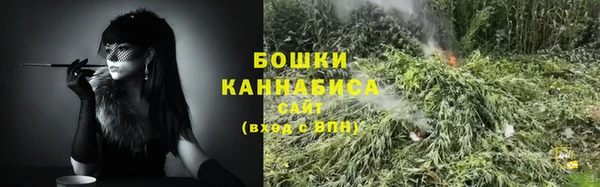 индика Верхний Тагил