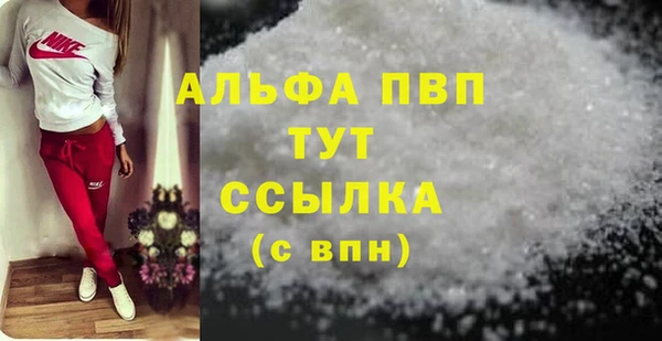 индика Верхний Тагил