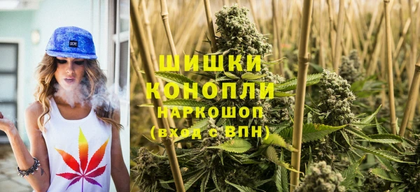 индика Верхнеуральск