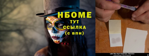 индика Верхний Тагил