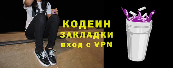 индика Верхний Тагил