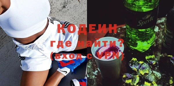 индика Верхний Тагил