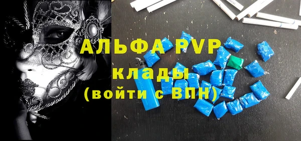 индика Верхний Тагил