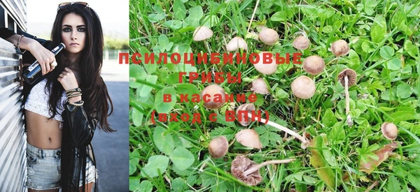индика Верхний Тагил