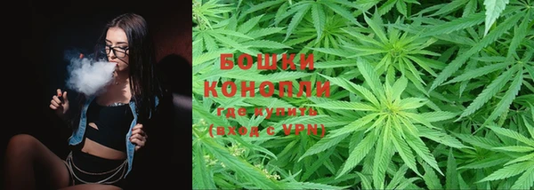 индика Верхний Тагил