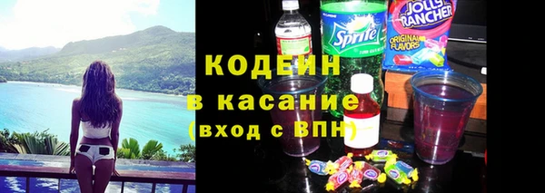 индика Верхний Тагил