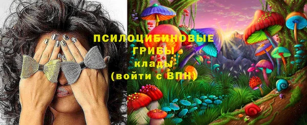 индика Верхний Тагил