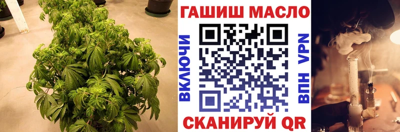 Купить закладки Починок ТГК концентрат
